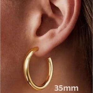 Gold and Brown Hoop Earrings